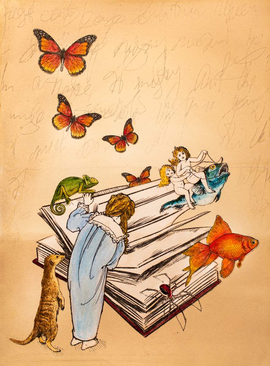 The Great Escape (2/15), Image 7.