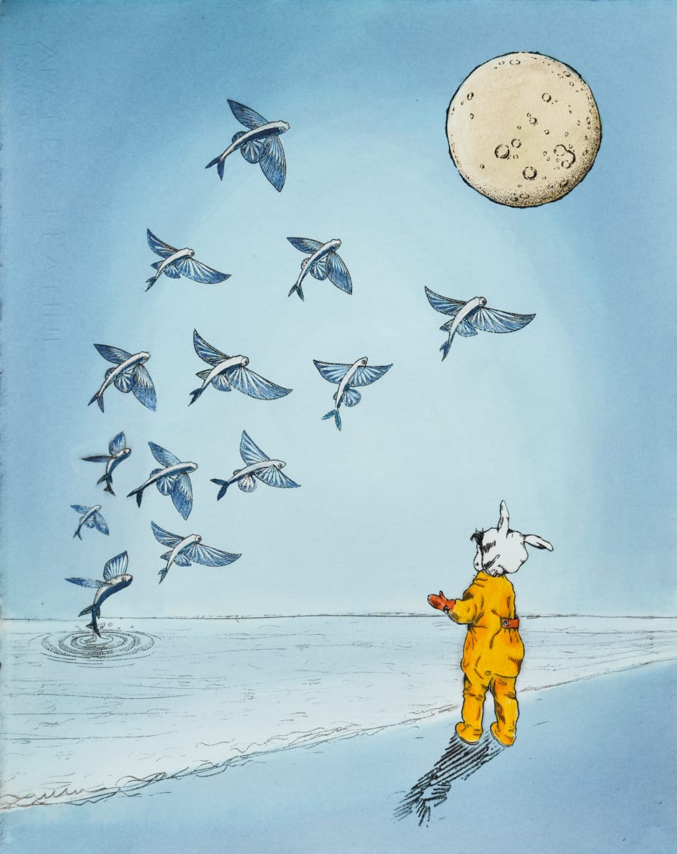 Moonfish  (1/15)  Image: Moonfish (1/15)