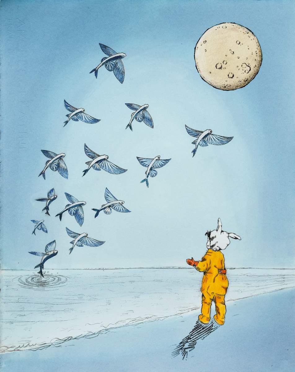 Moonfish  (1/15), Image 1.