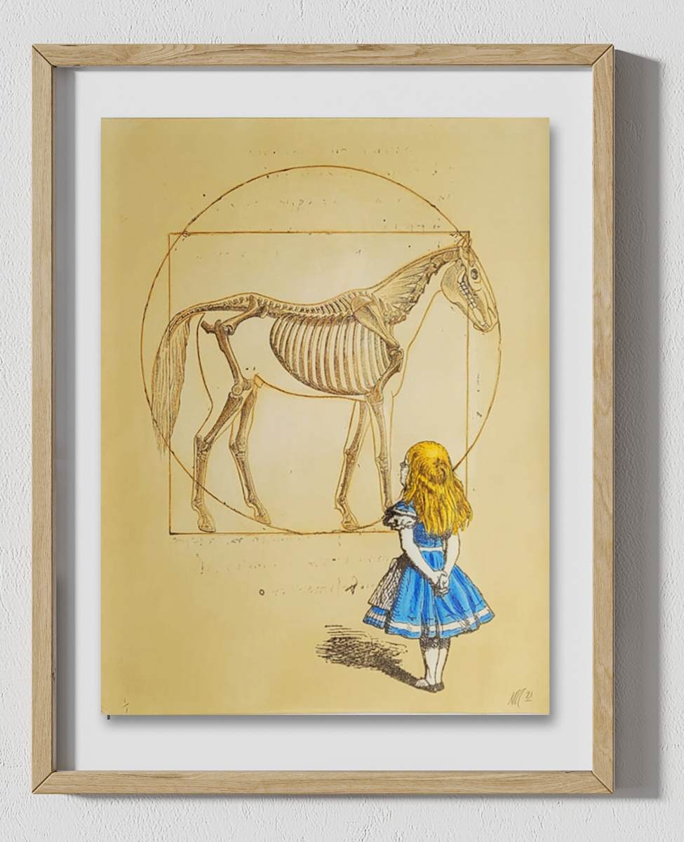 Wonder (1/10), Image 1.