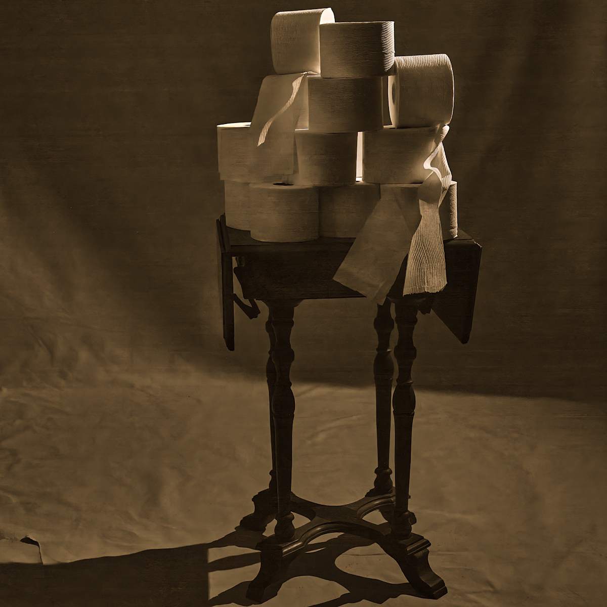 Toilet Paper Obsession by Amy Helmick 
