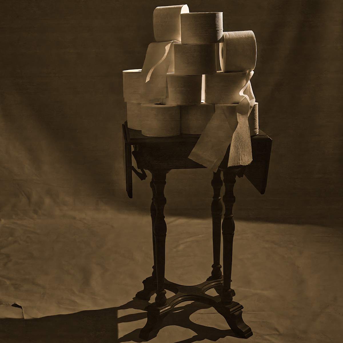 Toilet Paper Obsession by Amy Helmick, Image 1.