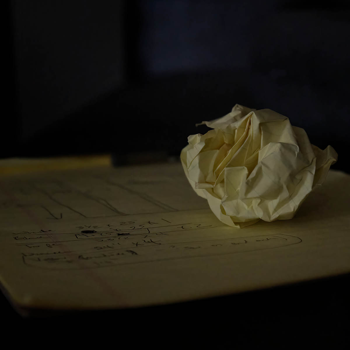 Yellow Rose by Amy Helmick 