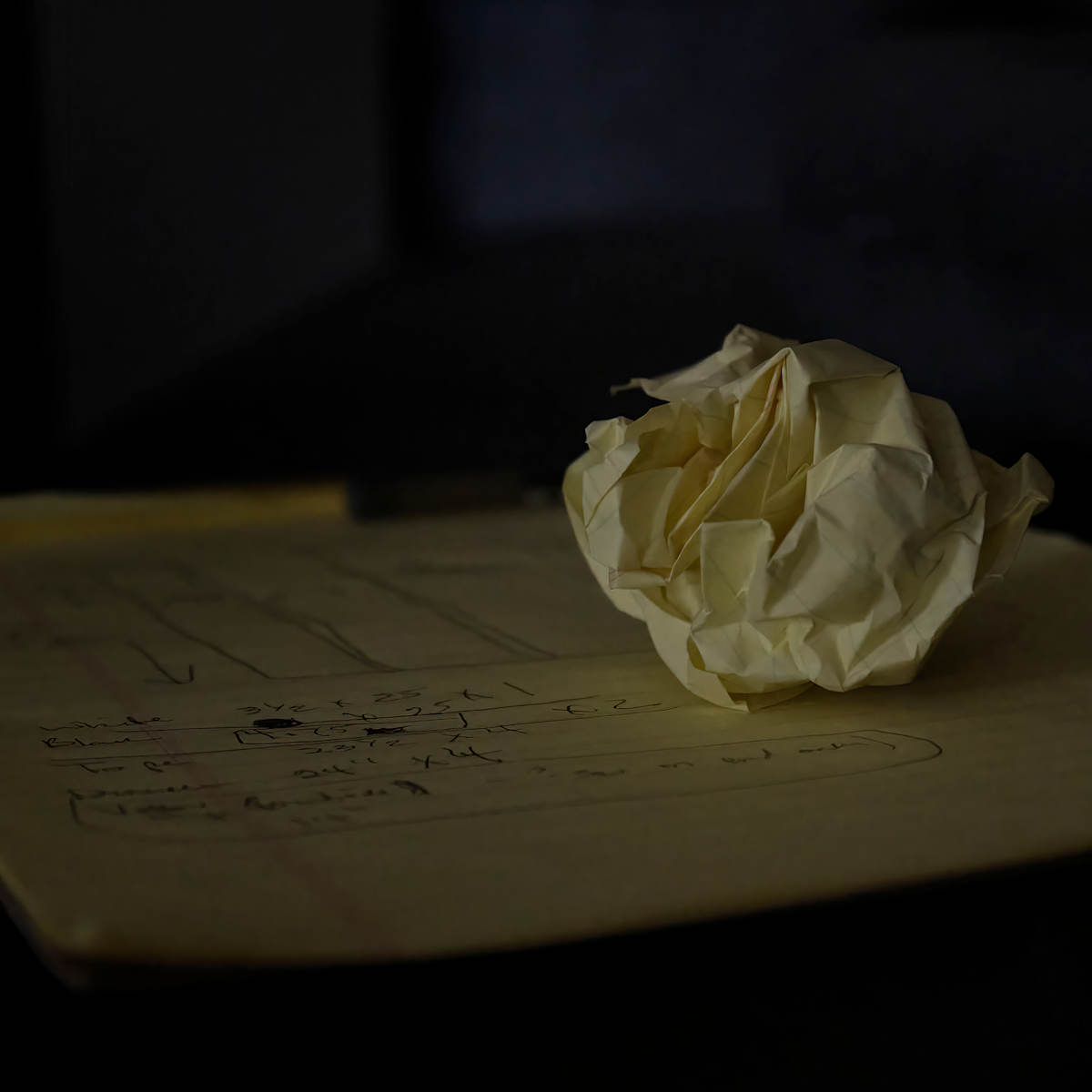 Yellow Rose by Amy Helmick, Image 1.