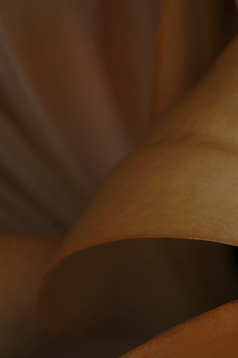 Warm Distraction by Amy Helmick, Image 1.