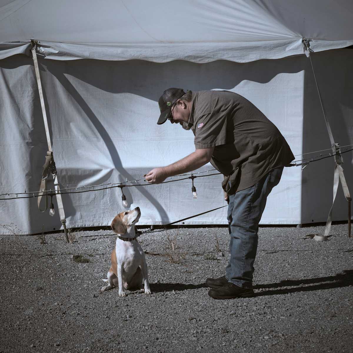 Traveling Companions by Amy Helmick, Image 2.