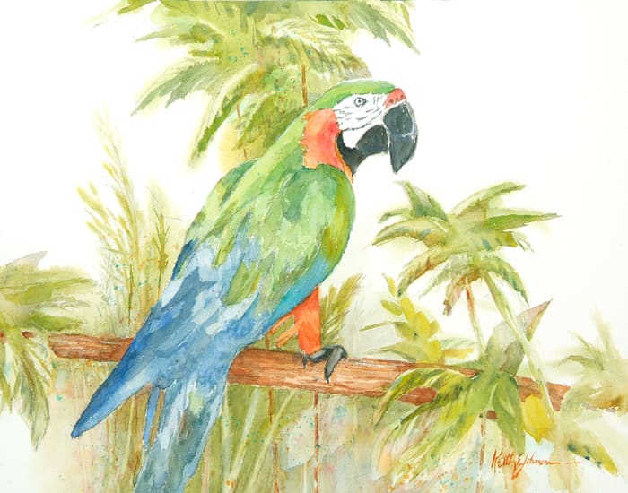 Calypso by Keith E  Johnson  Image: Parrot Painting