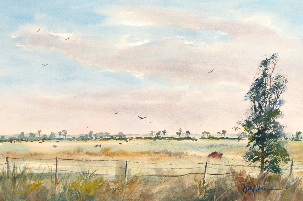 Of Bovine and Buzzards by Keith E  Johnson 