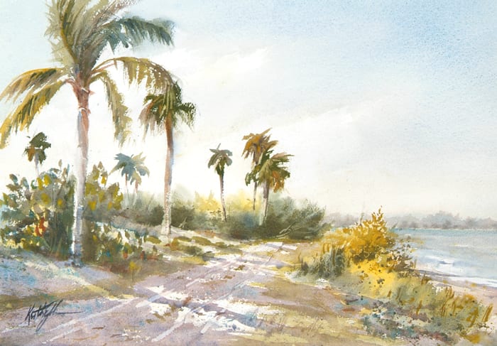 Palm Shadows by Keith E  Johnson 