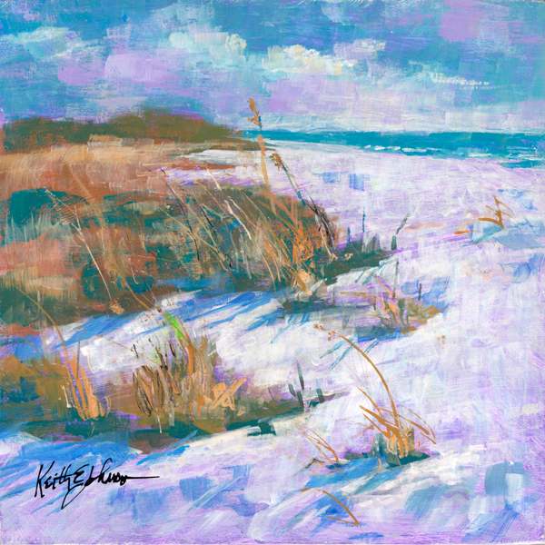 Sanibel Gulfside by Keith E  Johnson 