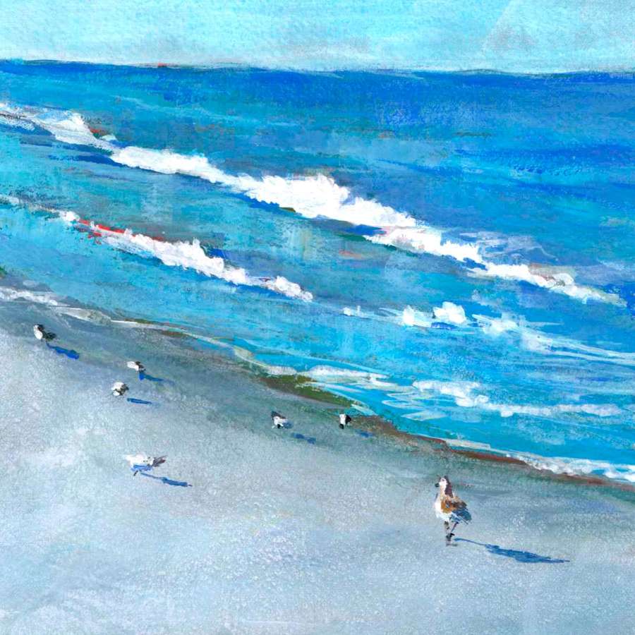 Shore Birds by Keith E  Johnson  Image: Shore birds scatter along the water's edge.