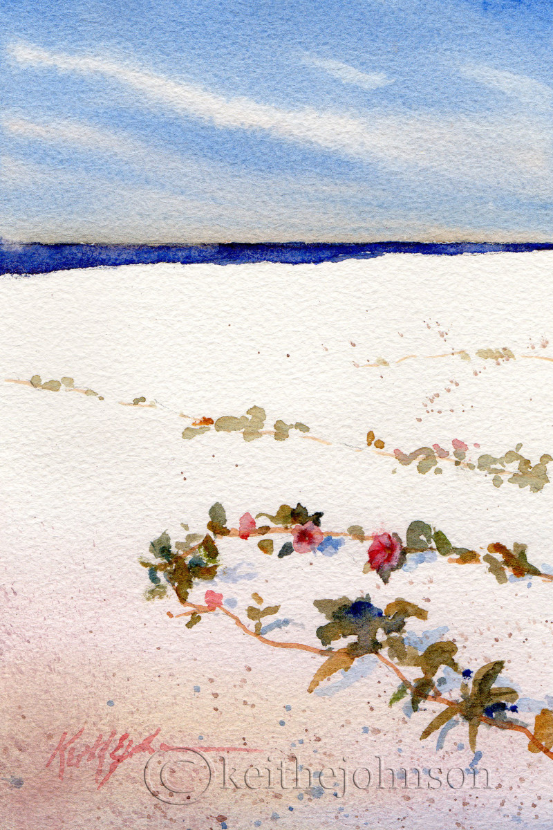 Morning Glory on the Beach by Keith E  Johnson 