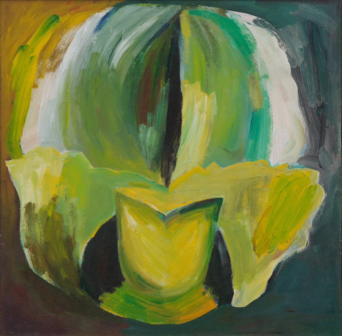 Paphiopedilum by Richard Baker 