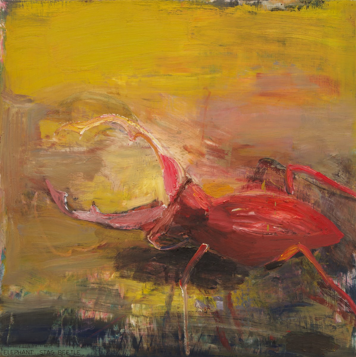 Elephant Stag Beetle by Richard Baker 