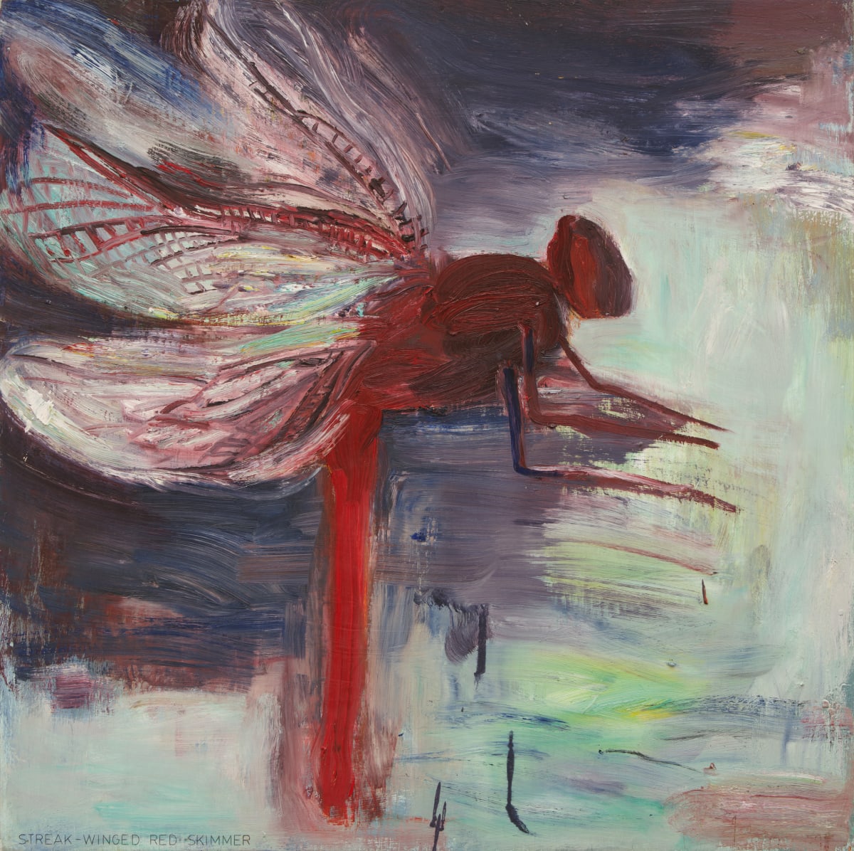 Streak-Winged Skimmer by Richard Baker, Image 2.
