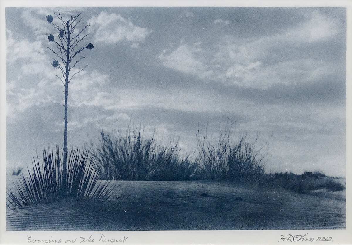 Evening on the Desert by Herbert Dewey Ohm, Image 3.