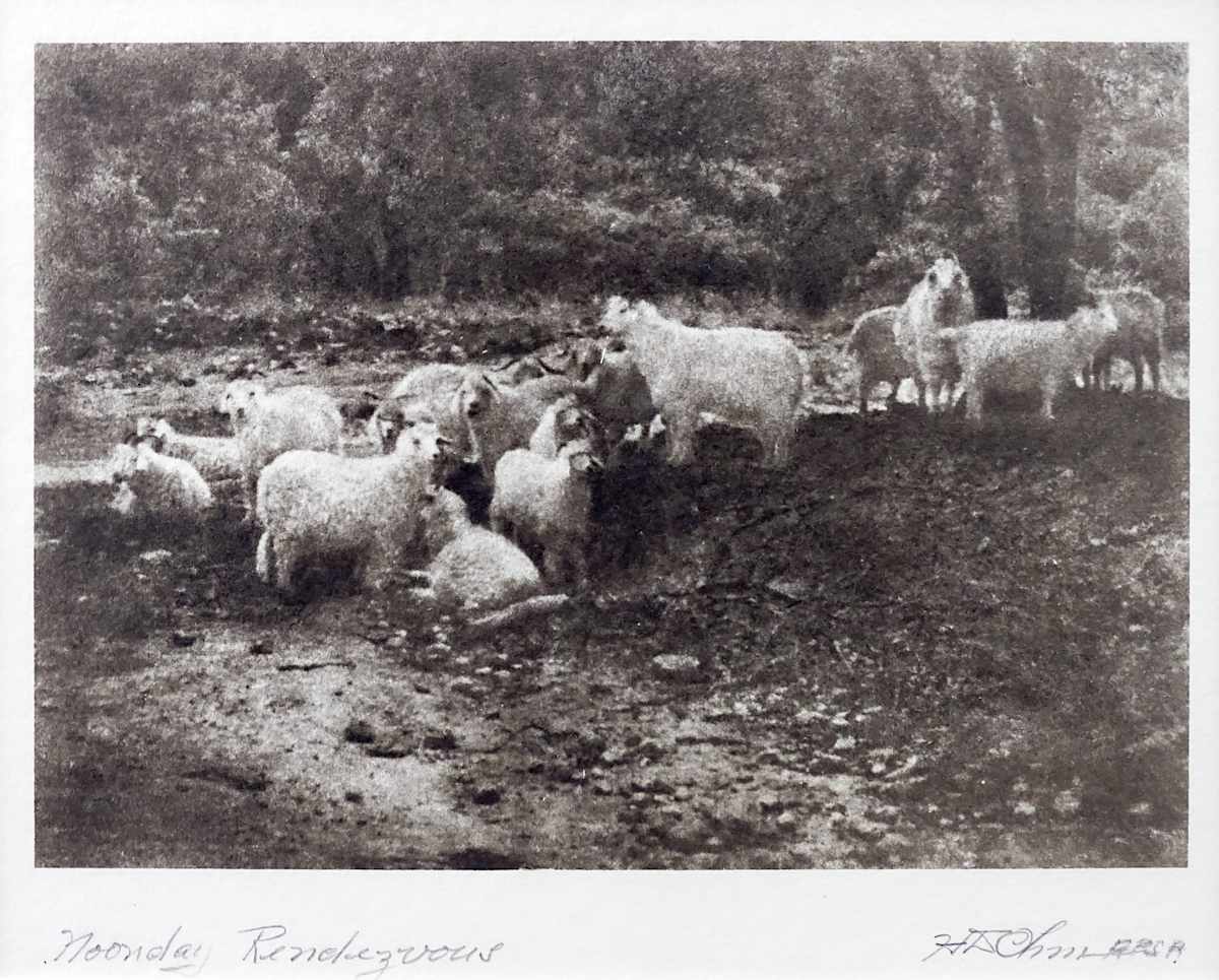 Noonday Rendezvous by Herbert Dewey Ohm, Image 2.