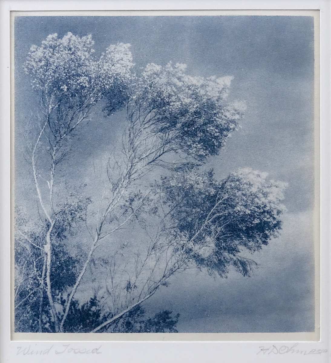 Wind Tossed by Herbert Dewey Ohm, Image 2.