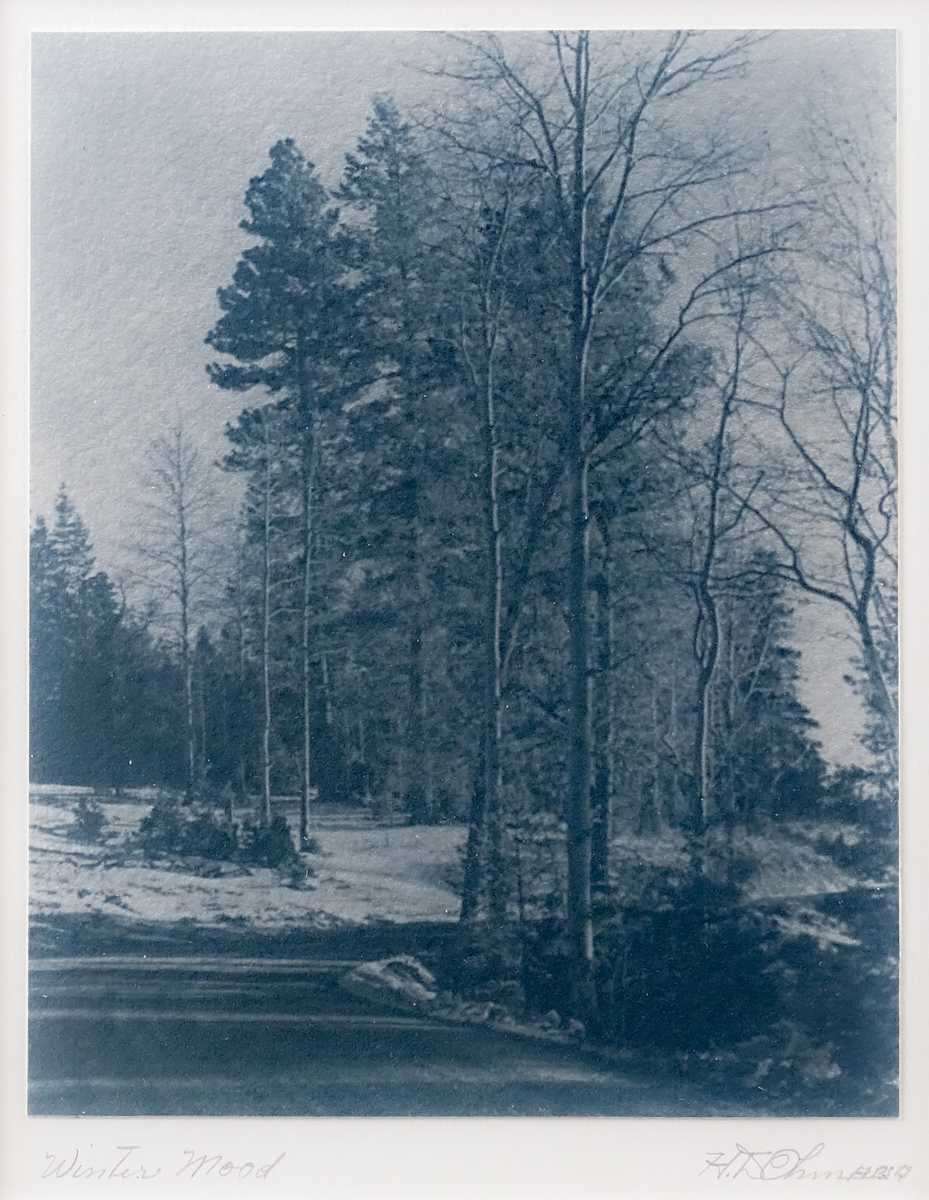 Winter Mood by Herbert Dewey Ohm, Image 2.