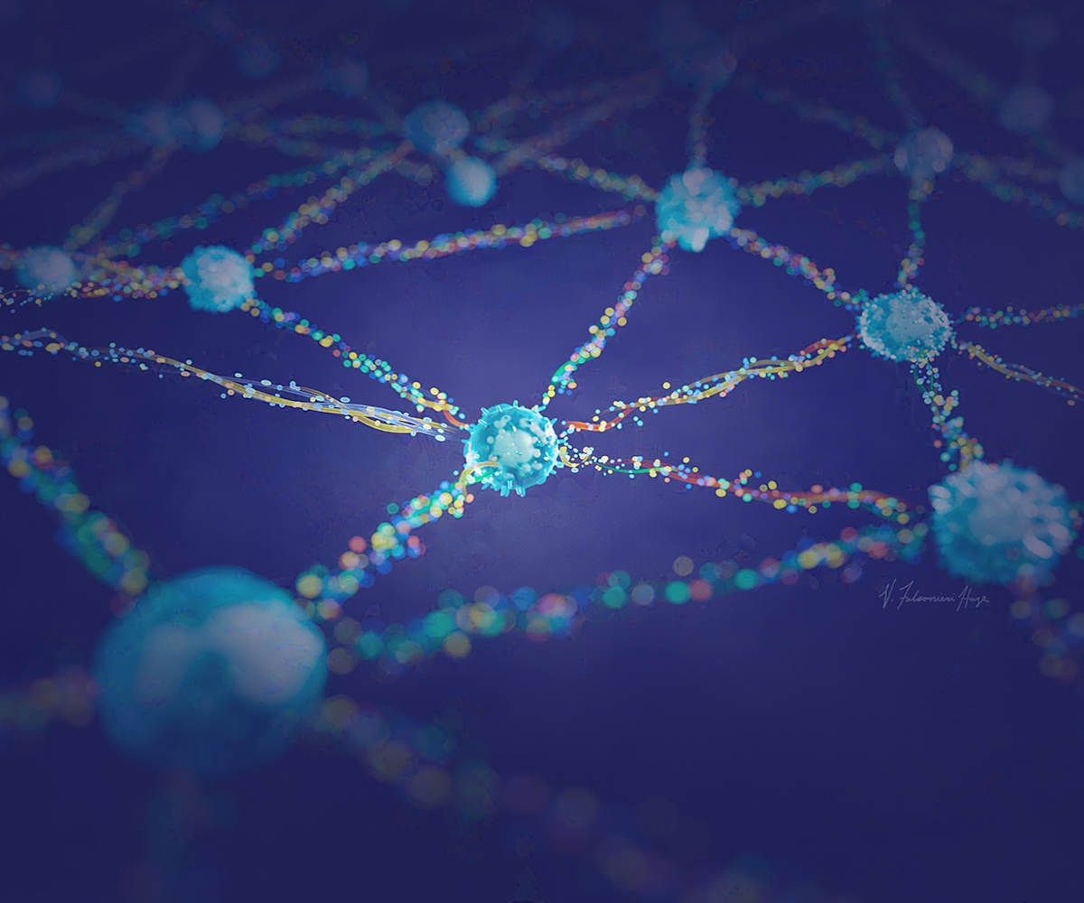 Cytokine Signalling by Veronica Falconieri Hays 