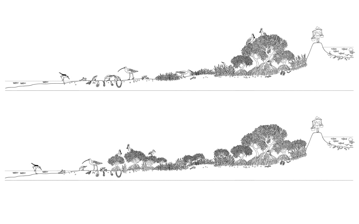 Effects of mangrove expansion on shorebird habitat in intertidal zone by Le Xiang 