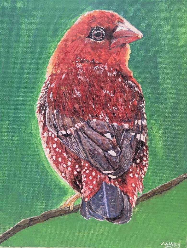 Strawberry Finch by Netta Dar, Image 1.