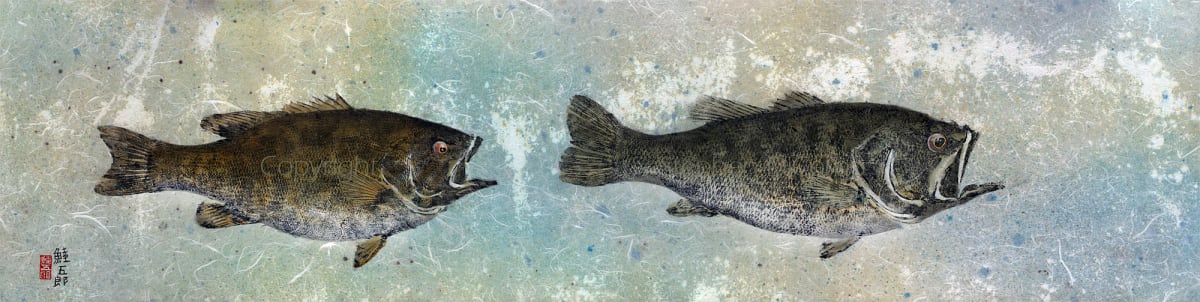 Adirondack Black Bass 1 by Stephen DiCerbo 