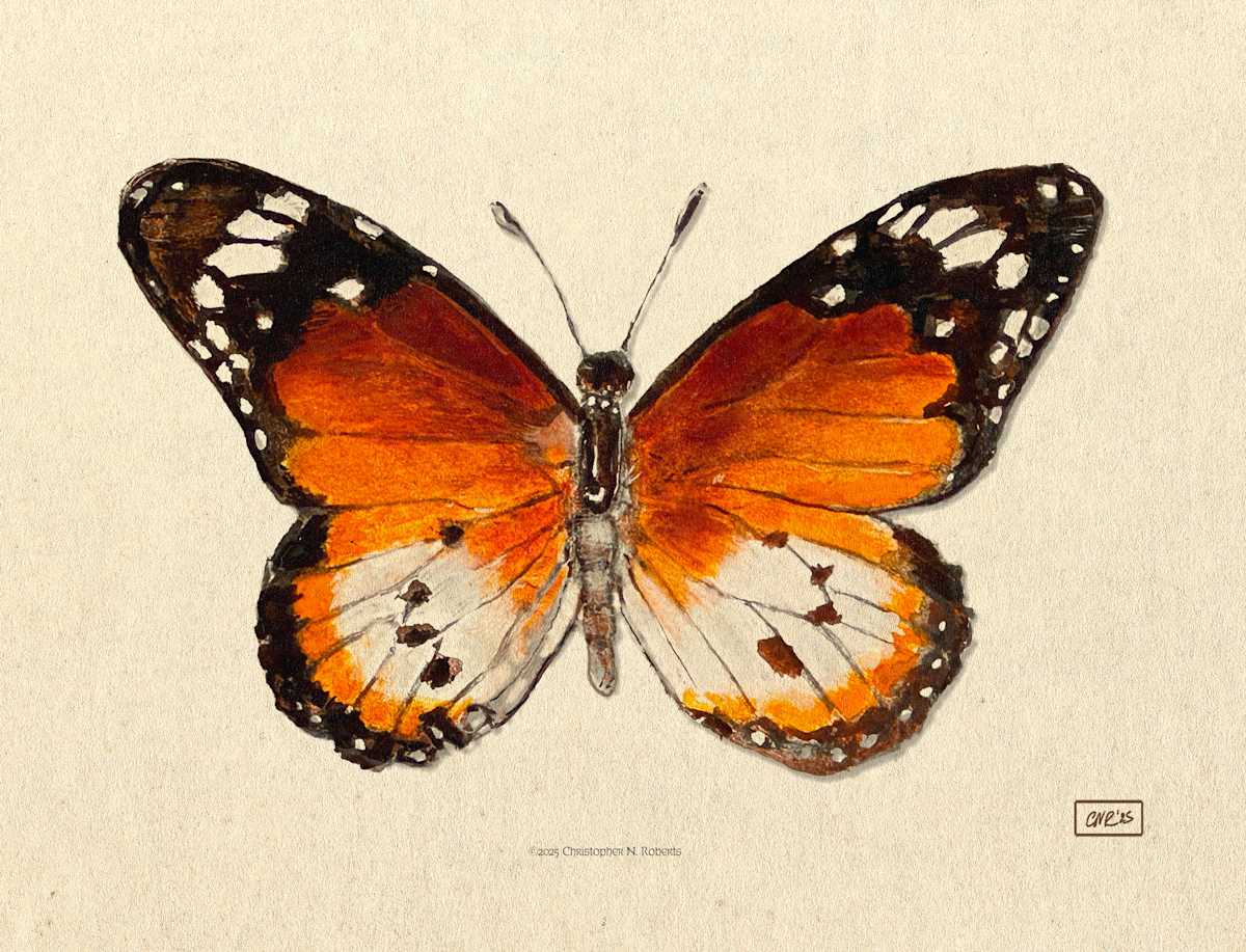 African Monarch Taxidermy Study by Christopher Roberts 