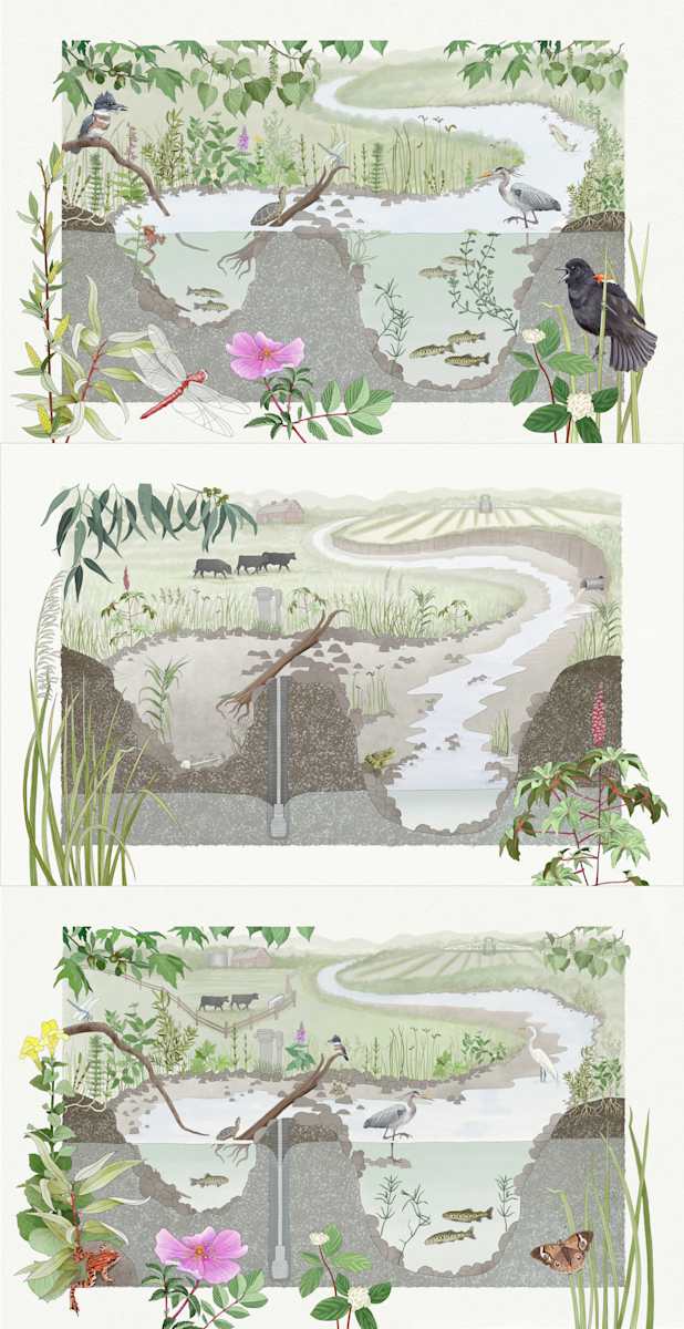 Groundwater/Surface Water Relationship by Catie Michel 