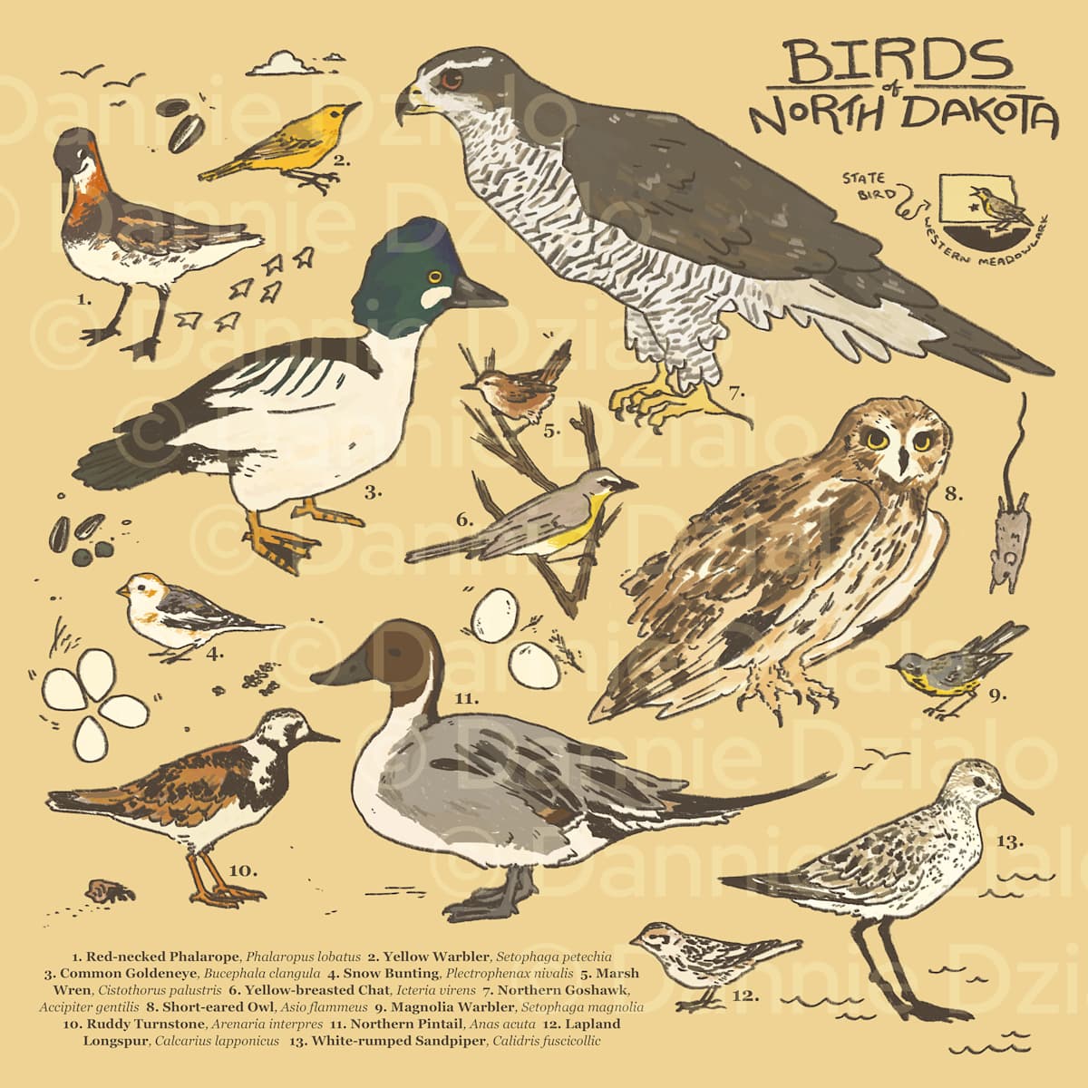Birds of North Dakota by Dannie Dzialo, Image 1.