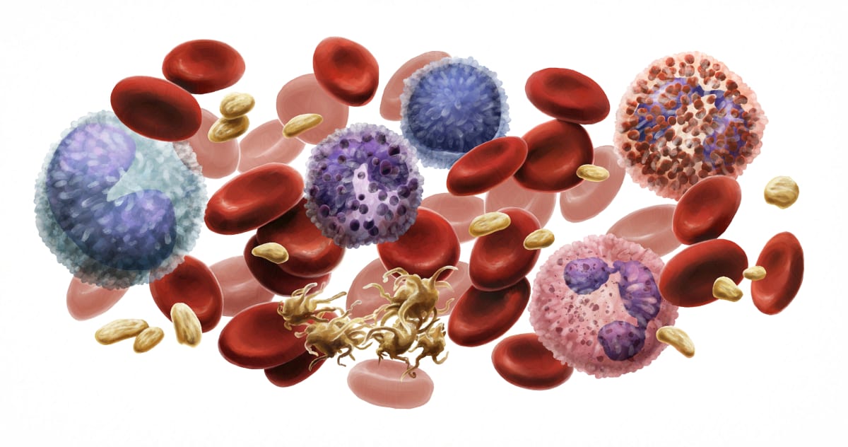 Blood Cells by C. J. Ellison 