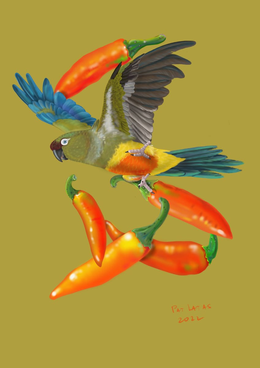 Burrowing Parrot and Peppers by Patricia Latas 