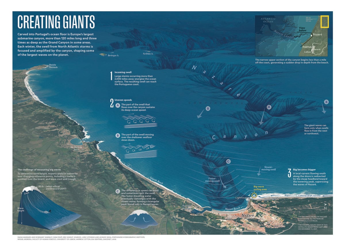 Creating Giants by Diana Marques  Image: © National Geographic