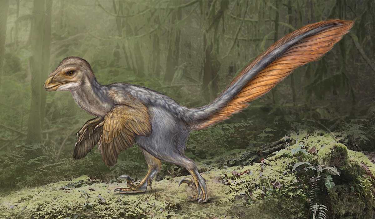 Deinonychus antirrhopus by Laurie O'Keefe 
