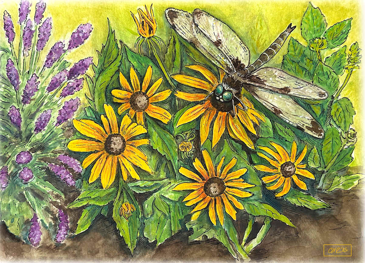 Dragonfly Garden (Whimsical Scientific Painting) by Christopher Roberts 