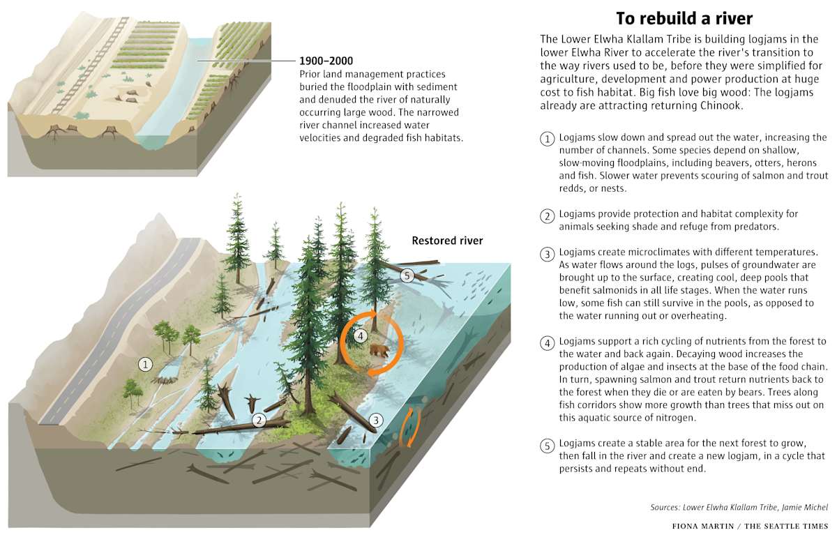 To rebuild a river by Fiona Martin 