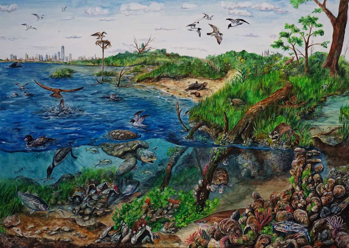 Jamaica Bay Estuary Mural by Trenton Jung 
