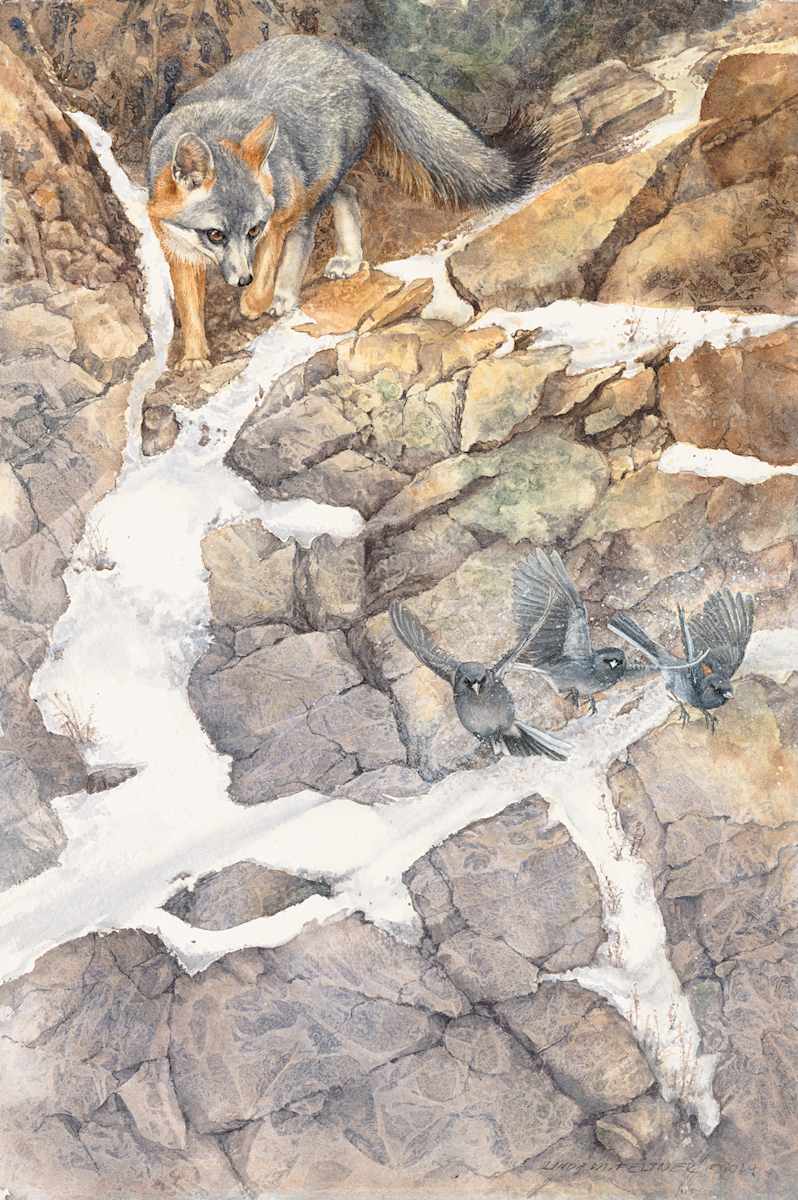 A Fleeting Moment by Linda Feltner 