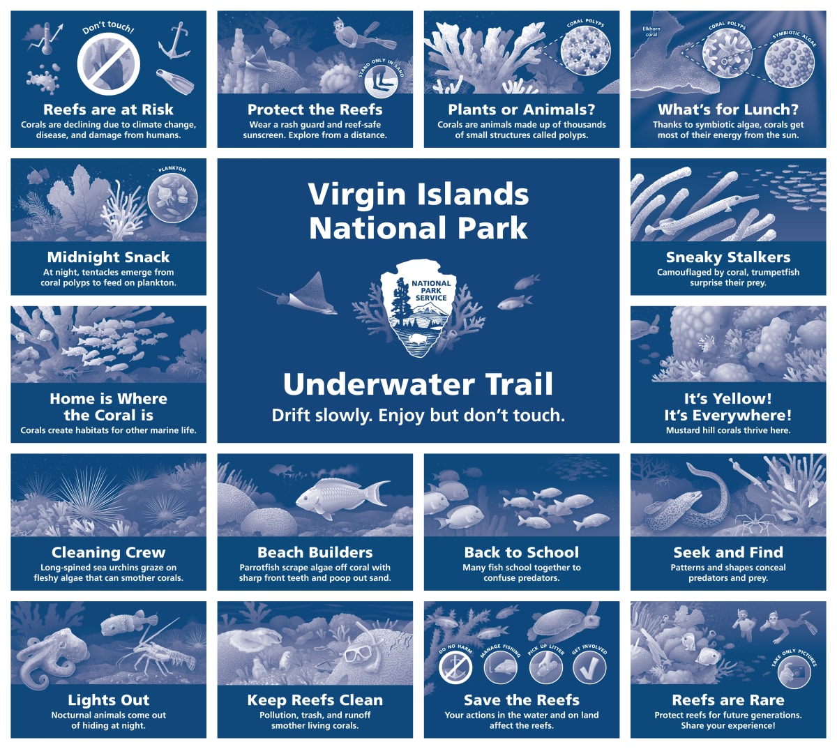 Virgin Islands National Park Underwater Trail by Fiona Martin 