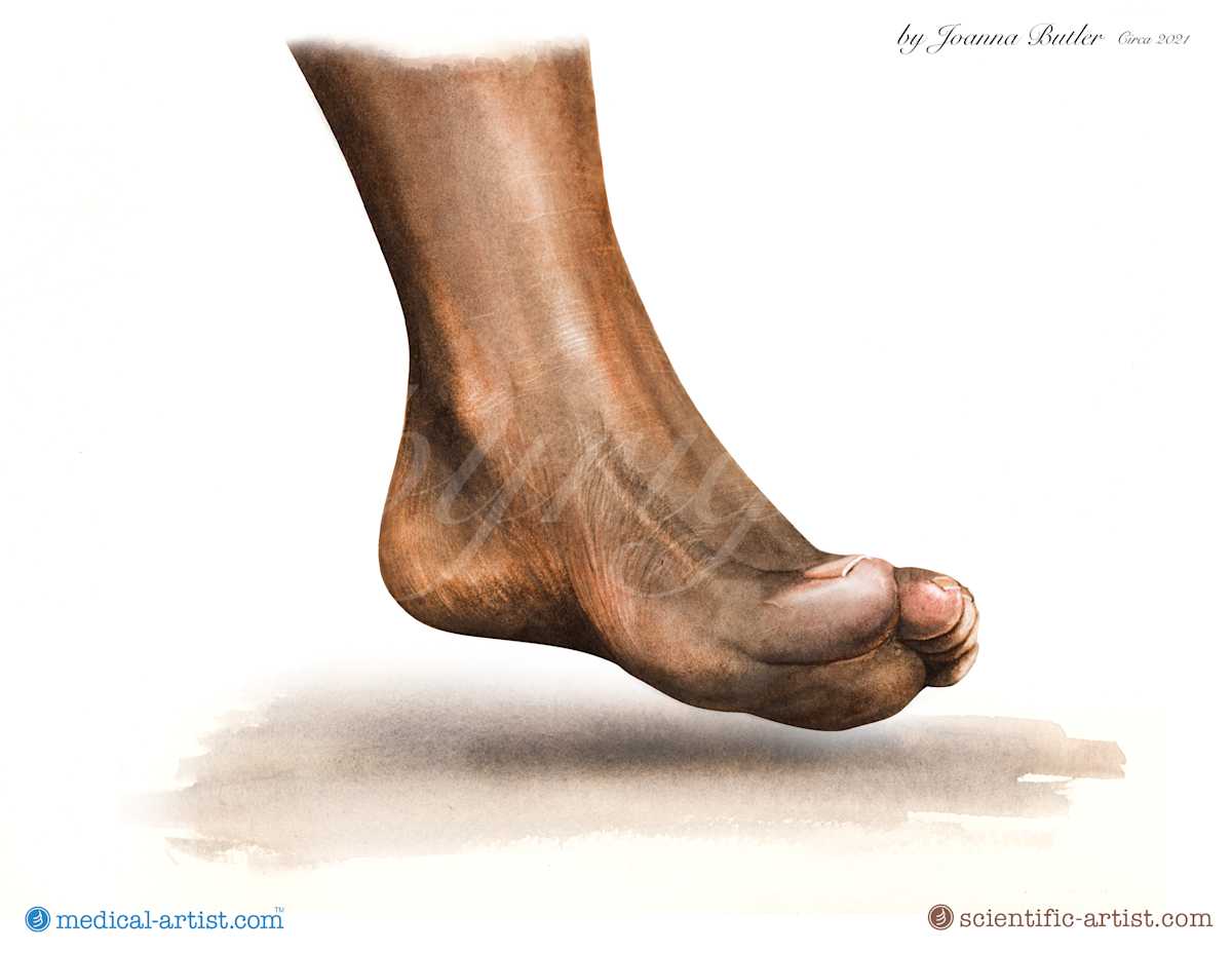 Foot study in watercolour by Joanna Butler, Image 1.