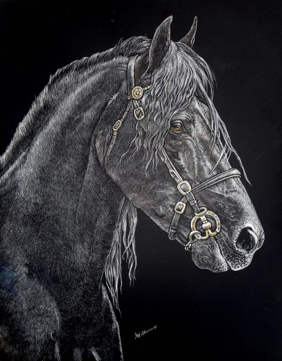 Friesian Stallion by Sandra Williams 