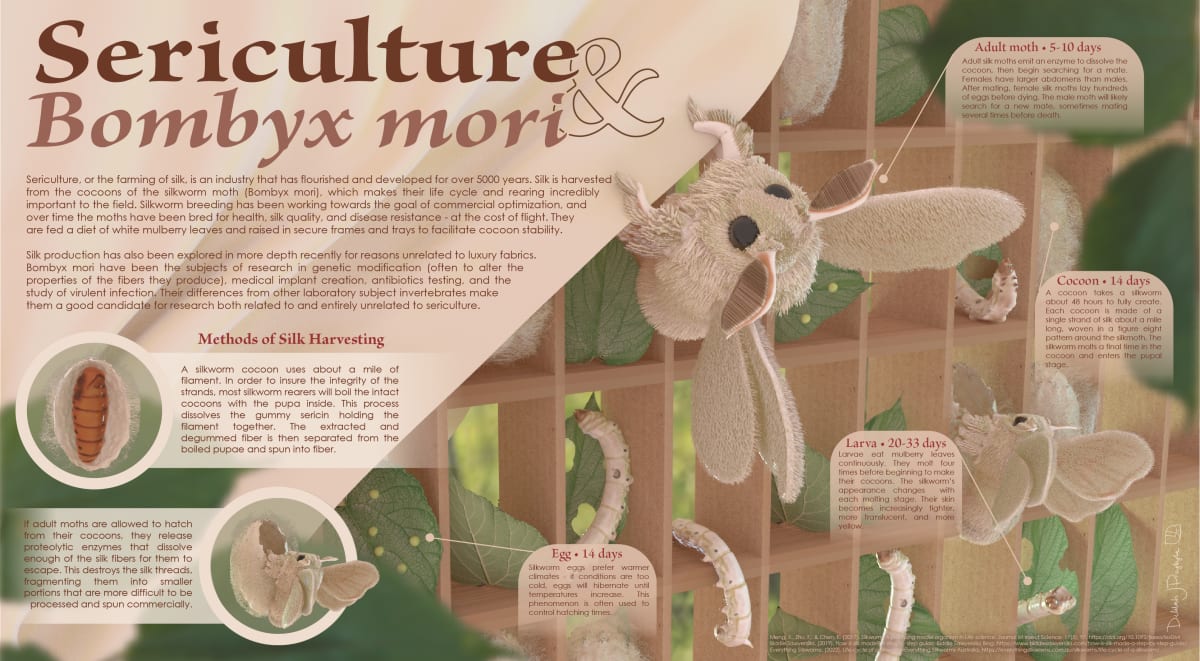 Sericulture & Bombyx mori by Delilah Przybyla 