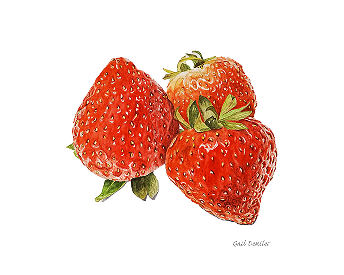 In Their Prime by Gail Dentler  Image: Strawberries
