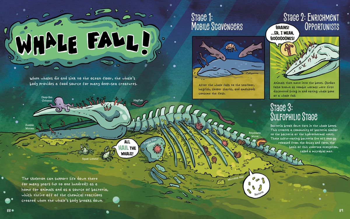 Whale Fall by Lindsey Leigh 
