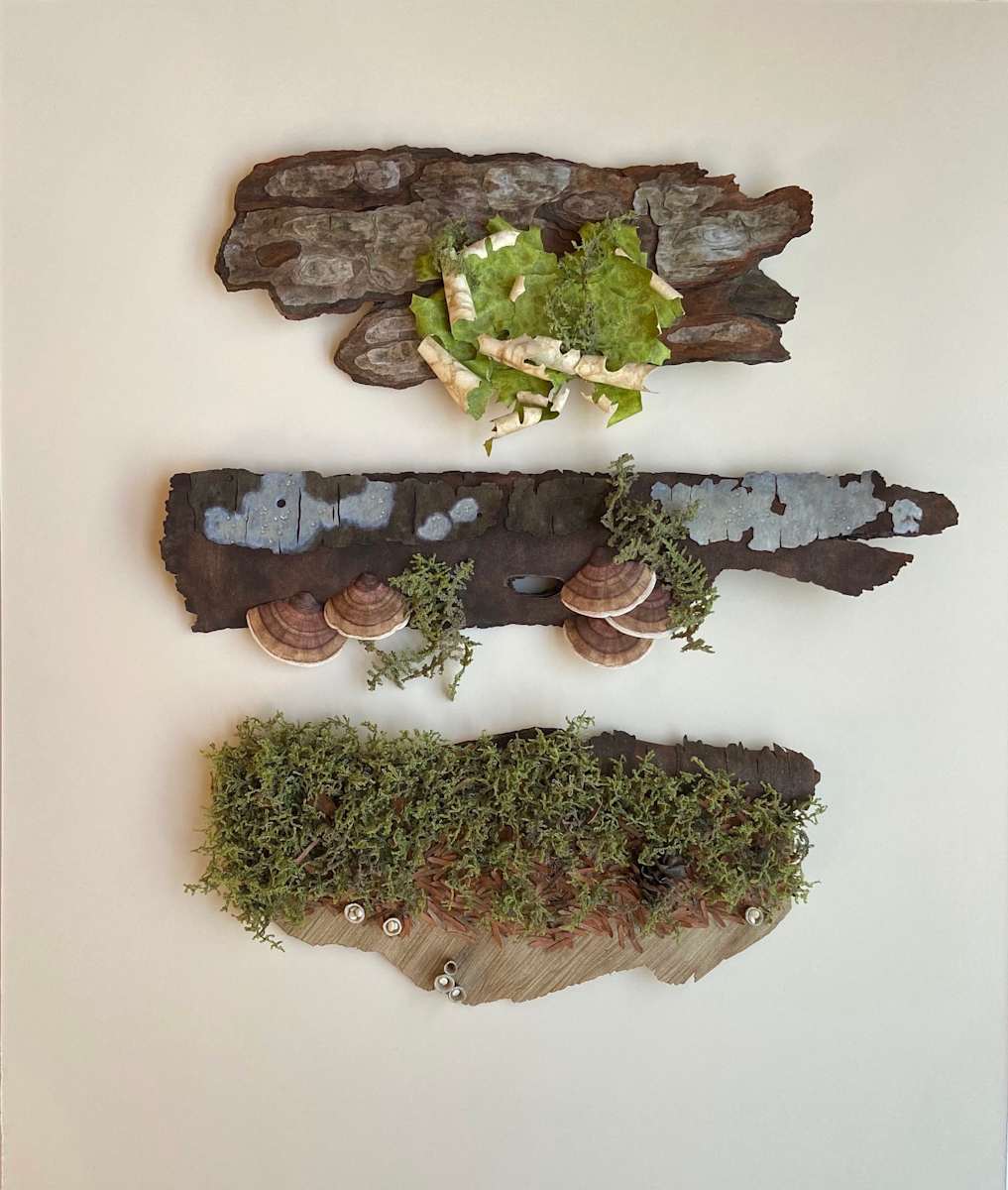 North Cascades Trove by Antoinette Luchessa 