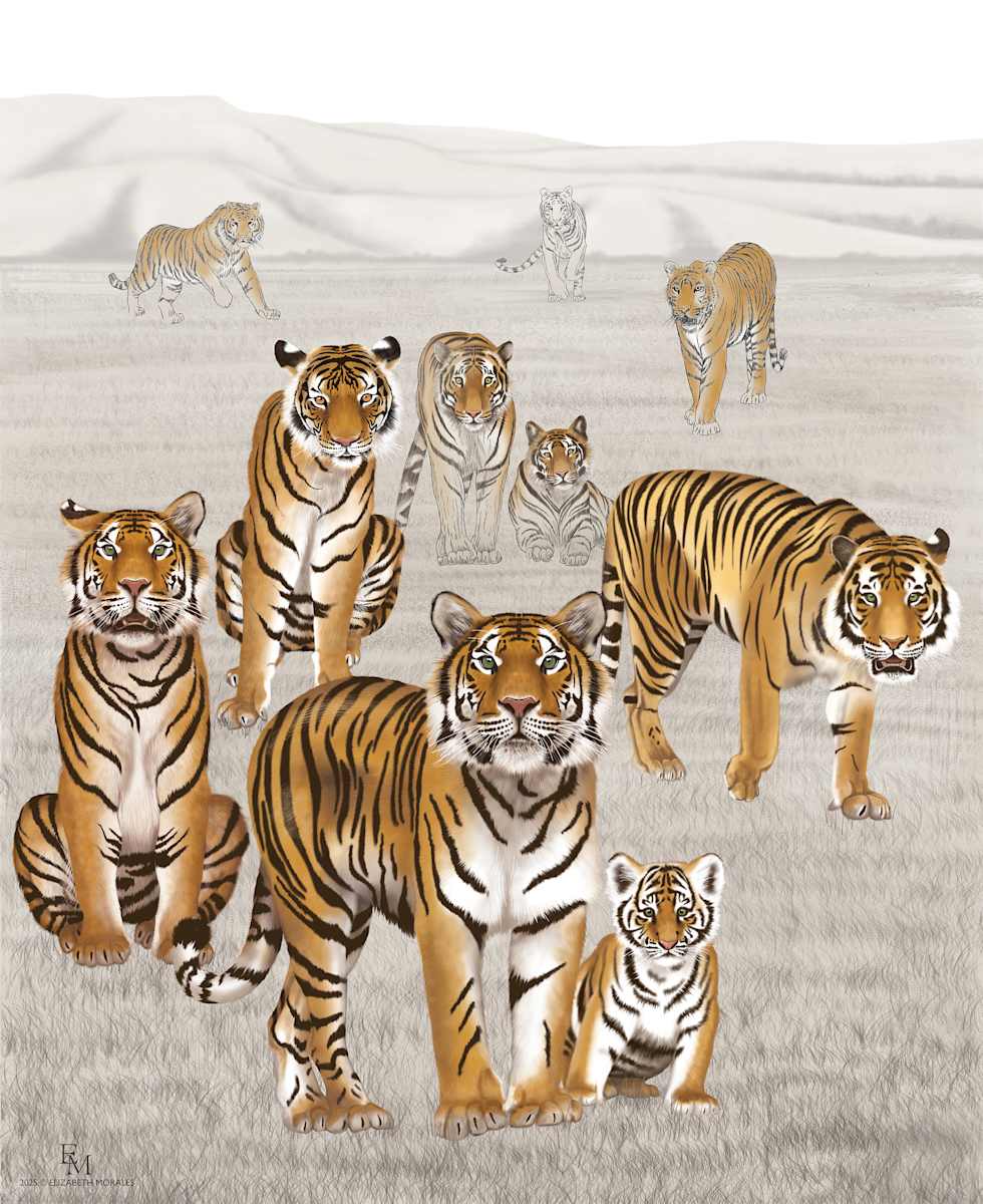 An Ambush of Tigers by Elizabeth Morales 