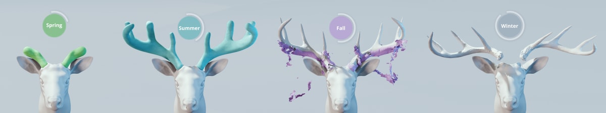 Antler Growth Cycle by Natasha Mutch, Image 1.