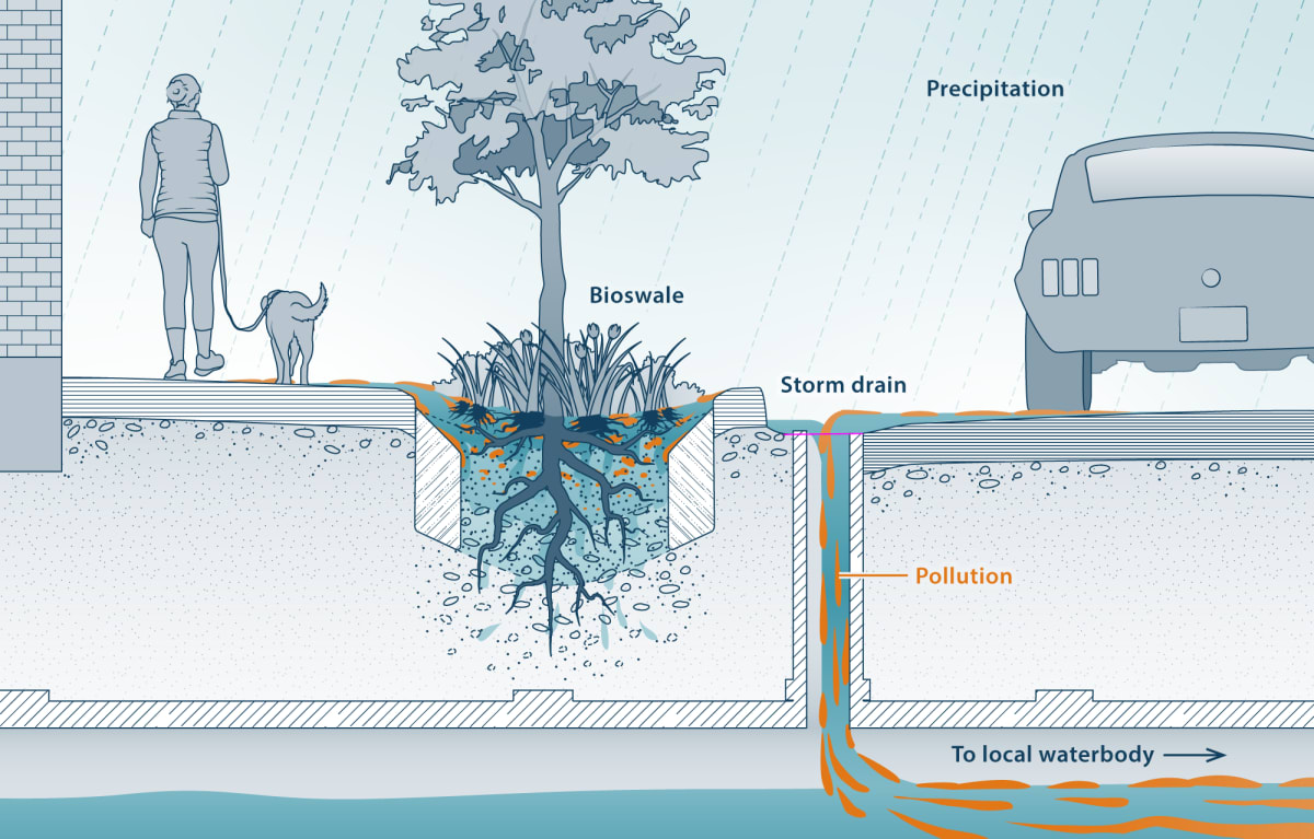 Green and Gray Stormwater Infrastructure by Fiona Martin 