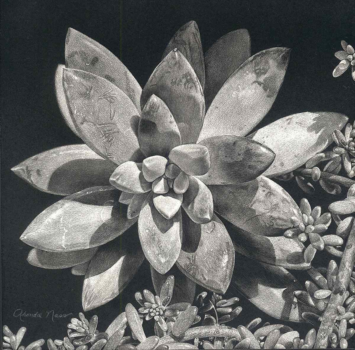 Succulent Divine Drama by Rhonda Nass 