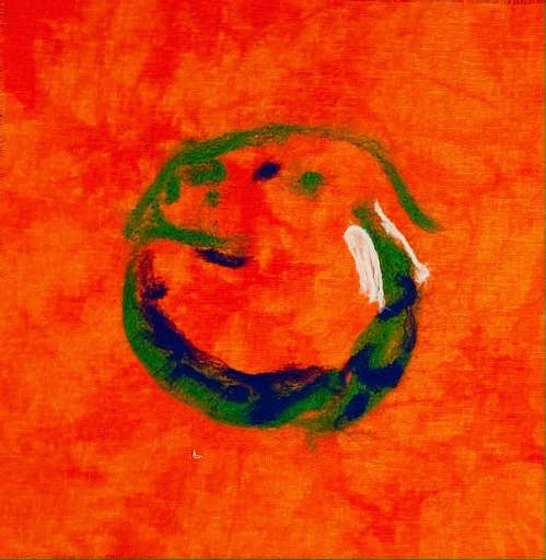 Heidelberg Image of Optic Nerve by Nancy Tilson-Mallett 